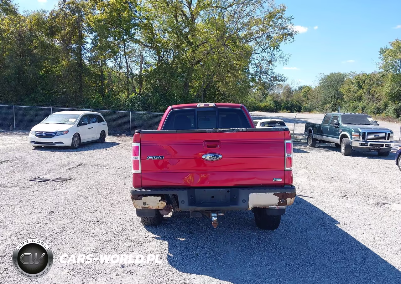 2010 Ford F-150 Fx4-Lariat-Xl-Xlt VIN:1FTFX1EV3AFB13052 - 15