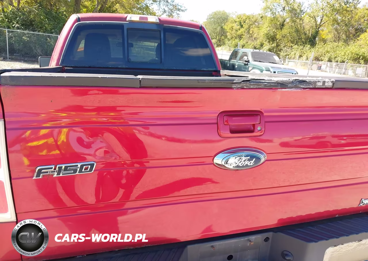 2010 Ford F-150 Fx4-Lariat-Xl-Xlt VIN:1FTFX1EV3AFB13052 - 16