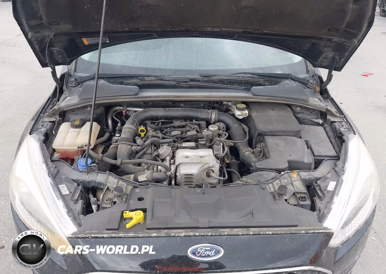 2018 Ford Focus Se VIN:1FADP3FE5JL321636 - 10
