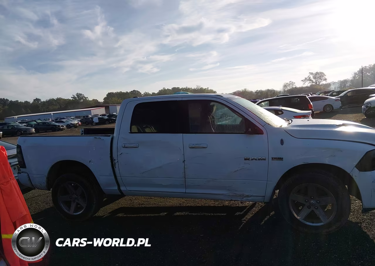 2010 Dodge Ram 1500 Slt-Sport-Trx VIN:1D7RV1CT2AS177665 - 13