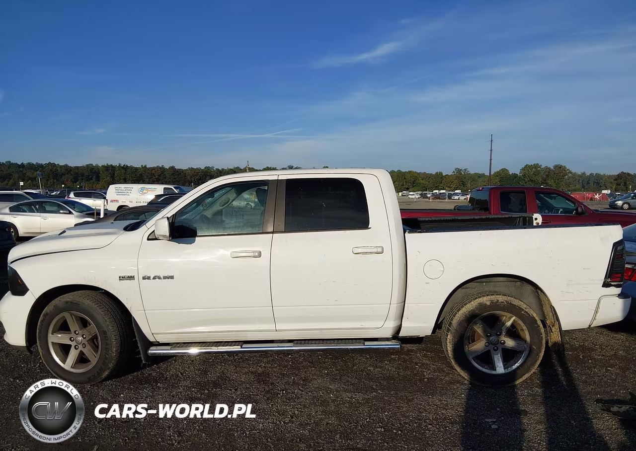 2010 Dodge Ram 1500 Slt-Sport-Trx VIN:1D7RV1CT2AS177665 - 14