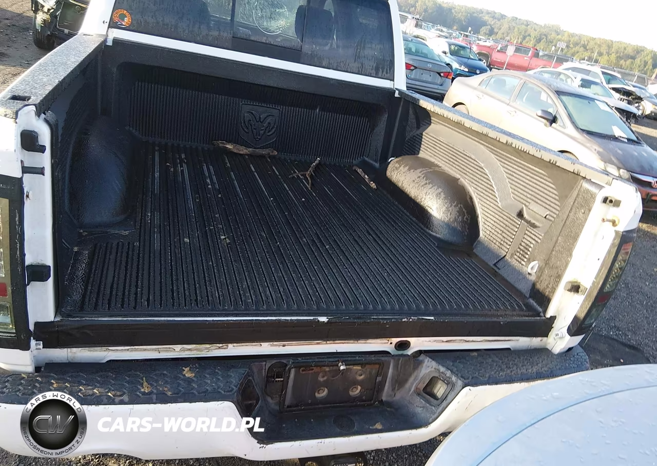 2010 Dodge Ram 1500 Slt-Sport-Trx VIN:1D7RV1CT2AS177665 - 16