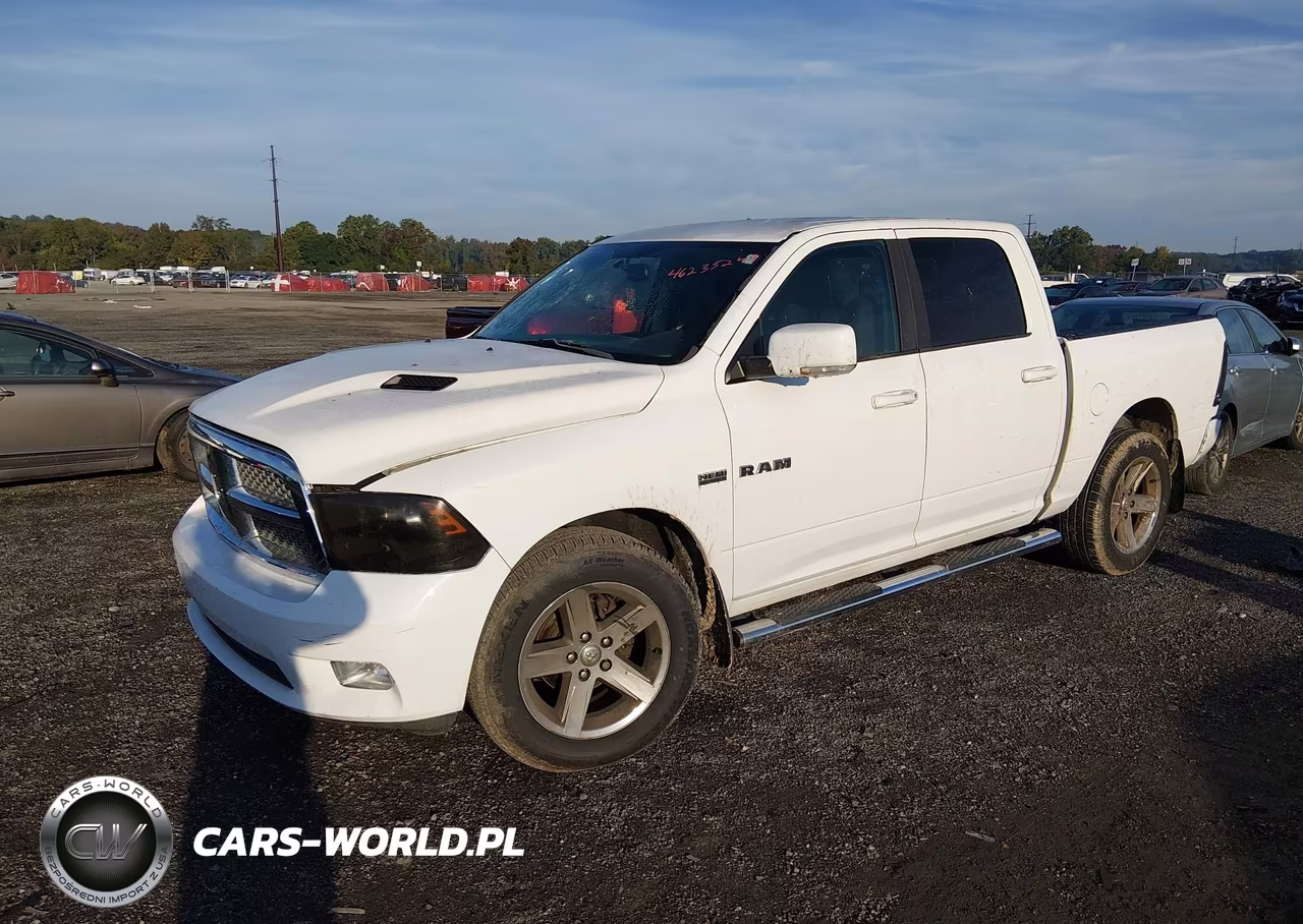 2010 Dodge Ram 1500 Slt-Sport-Trx VIN:1D7RV1CT2AS177665 - 2