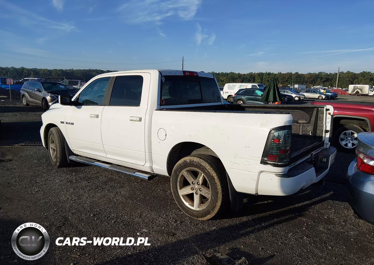 2010 Dodge Ram 1500 Slt-Sport-Trx VIN:1D7RV1CT2AS177665 - 3