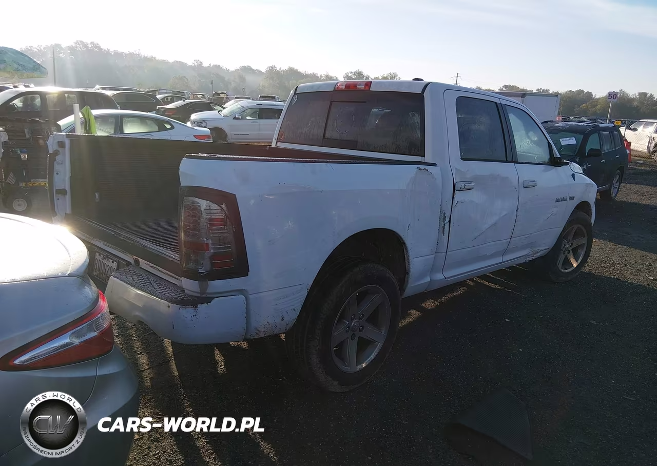 2010 Dodge Ram 1500 Slt-Sport-Trx VIN:1D7RV1CT2AS177665 - 4