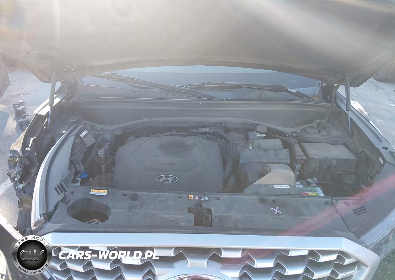 2022 Hyundai Palisade Sel VIN:KM8R4DHE6NU353261 - 10