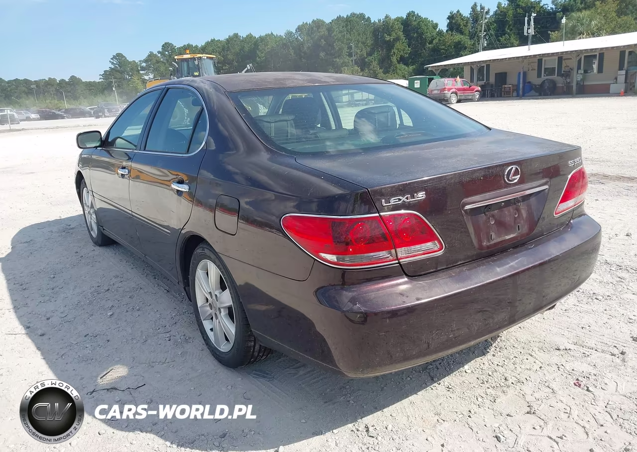 2005 Lexus Es 330 VIN:JTHBA30GX55129294 - 3