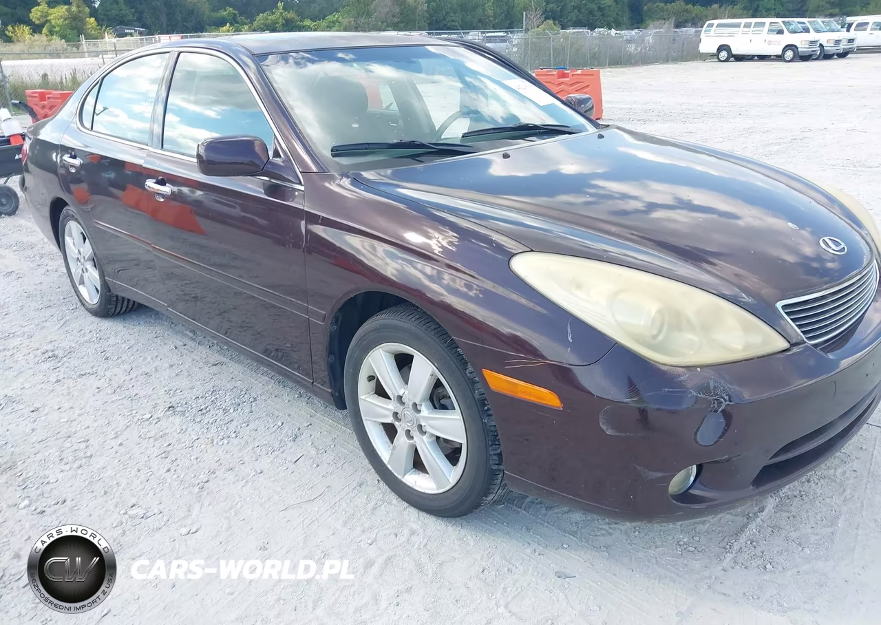 2005 Lexus Es 330 VIN:JTHBA30GX55129294 - 6