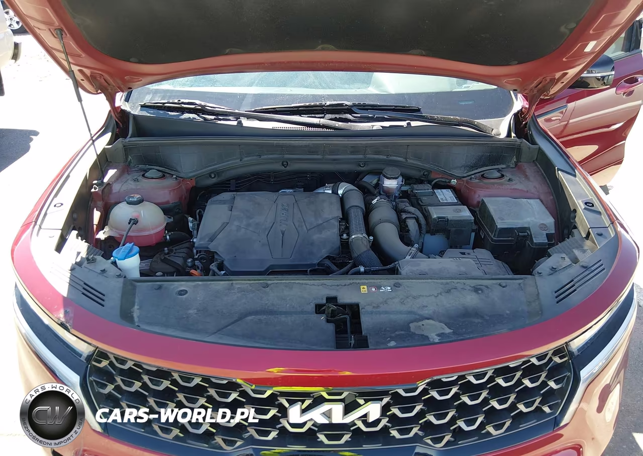 2023 Kia Sorento X-Line Ex VIN:5XYRHDLF6PG239483 - 10