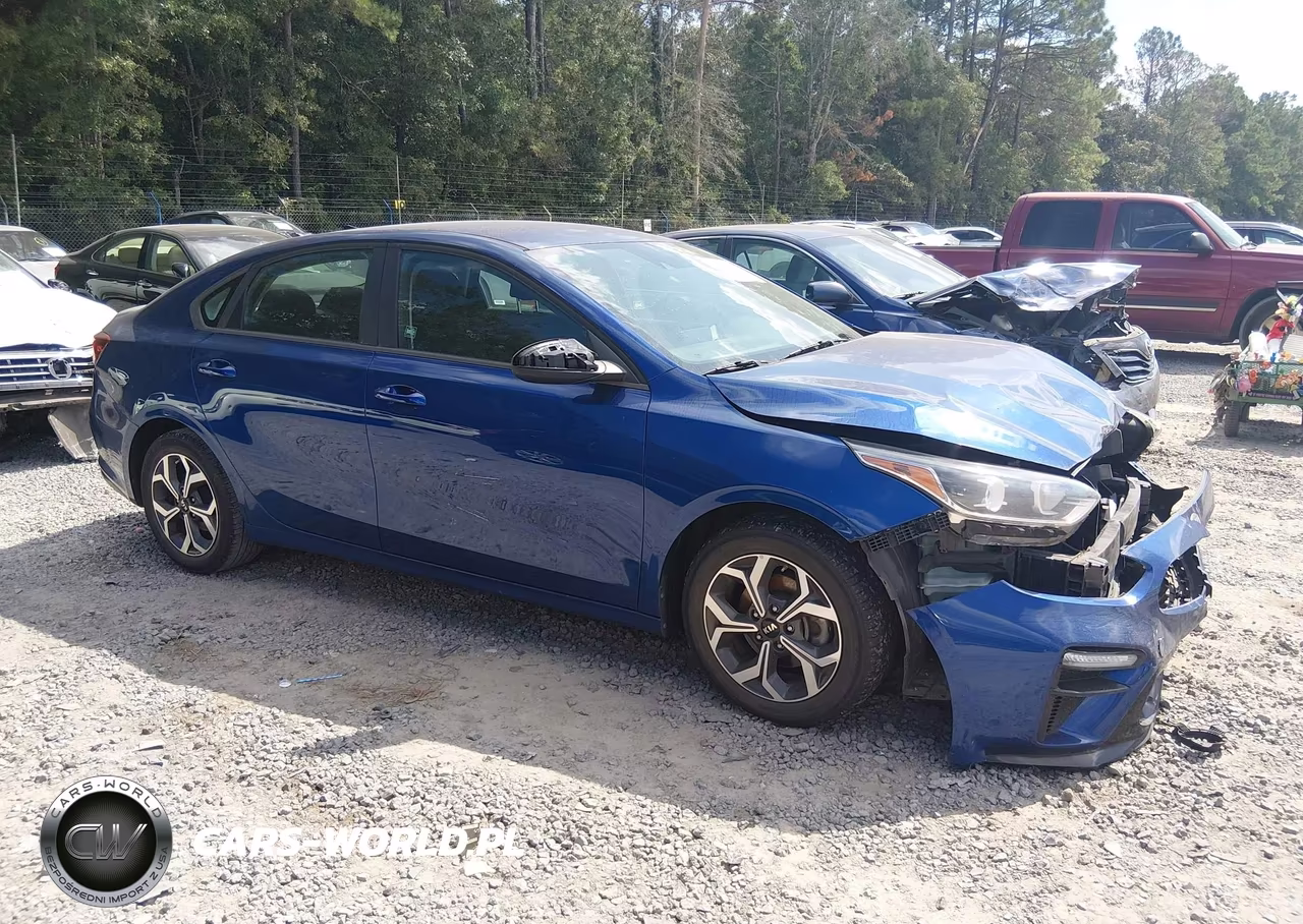 2019 Kia Forte Lxs