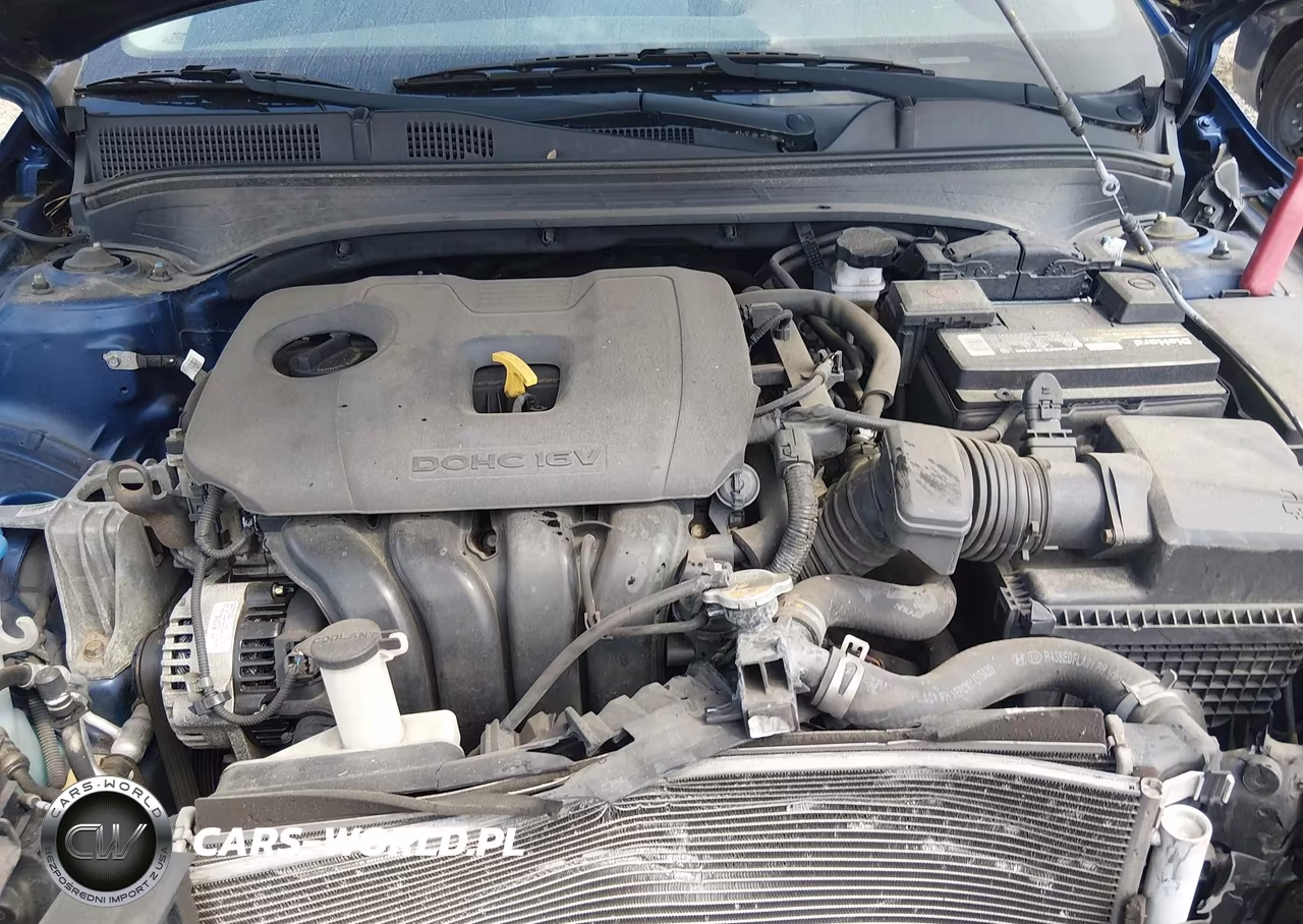 2019 Kia Forte Lxs VIN:3KPF24ADXKE008274 - 10