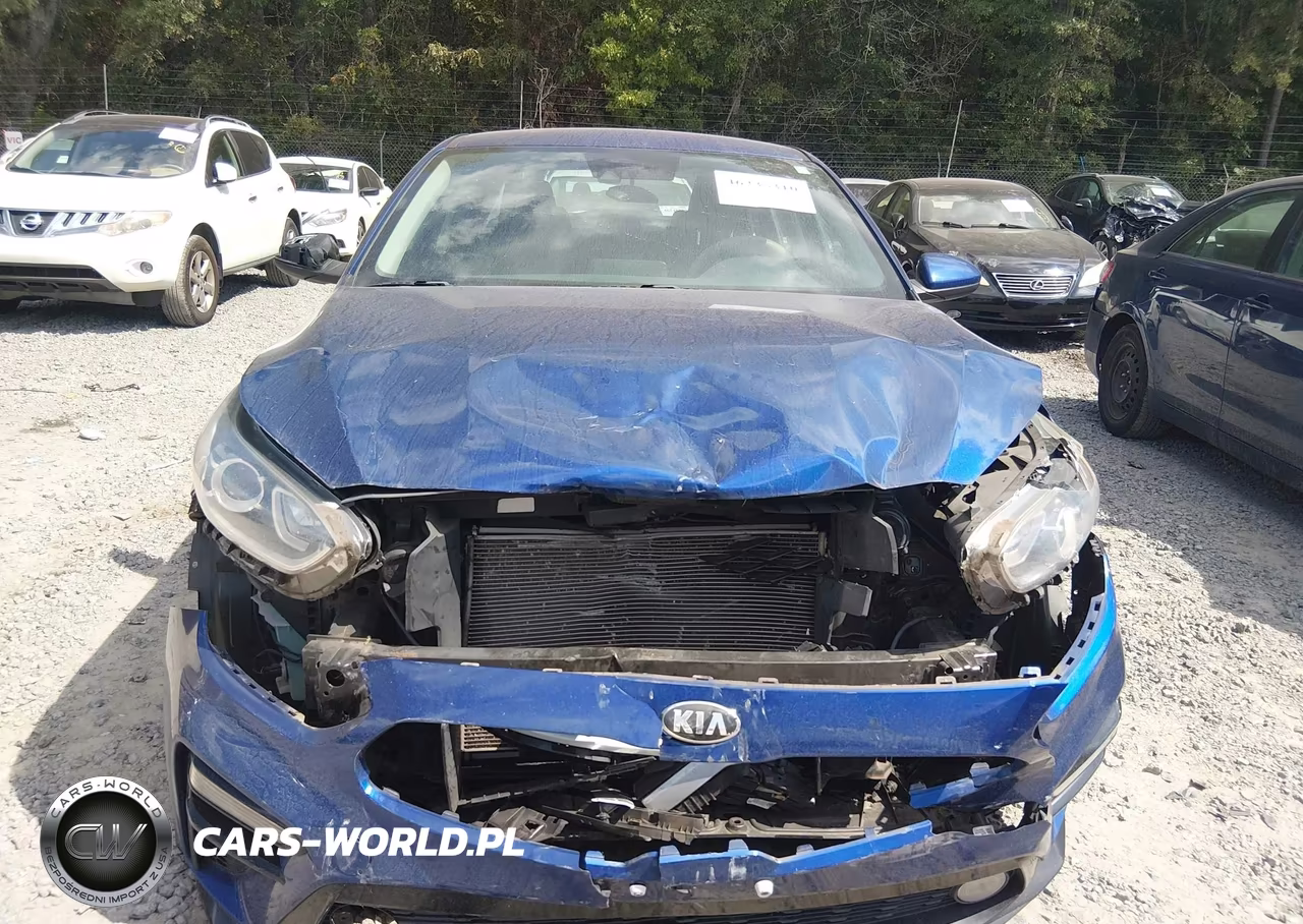 2019 Kia Forte Lxs VIN:3KPF24ADXKE008274 - 12