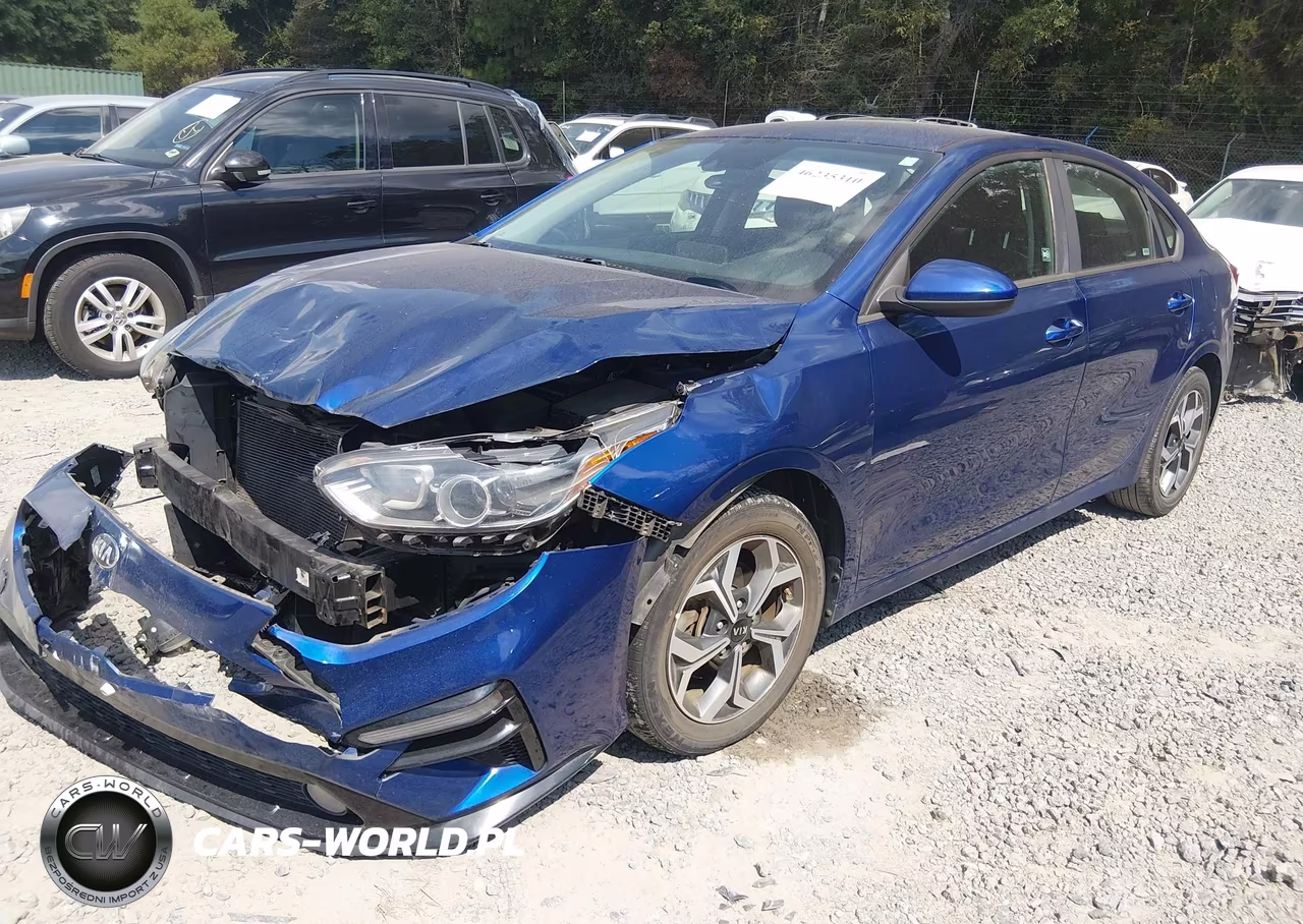 2019 Kia Forte Lxs VIN:3KPF24ADXKE008274 - 2