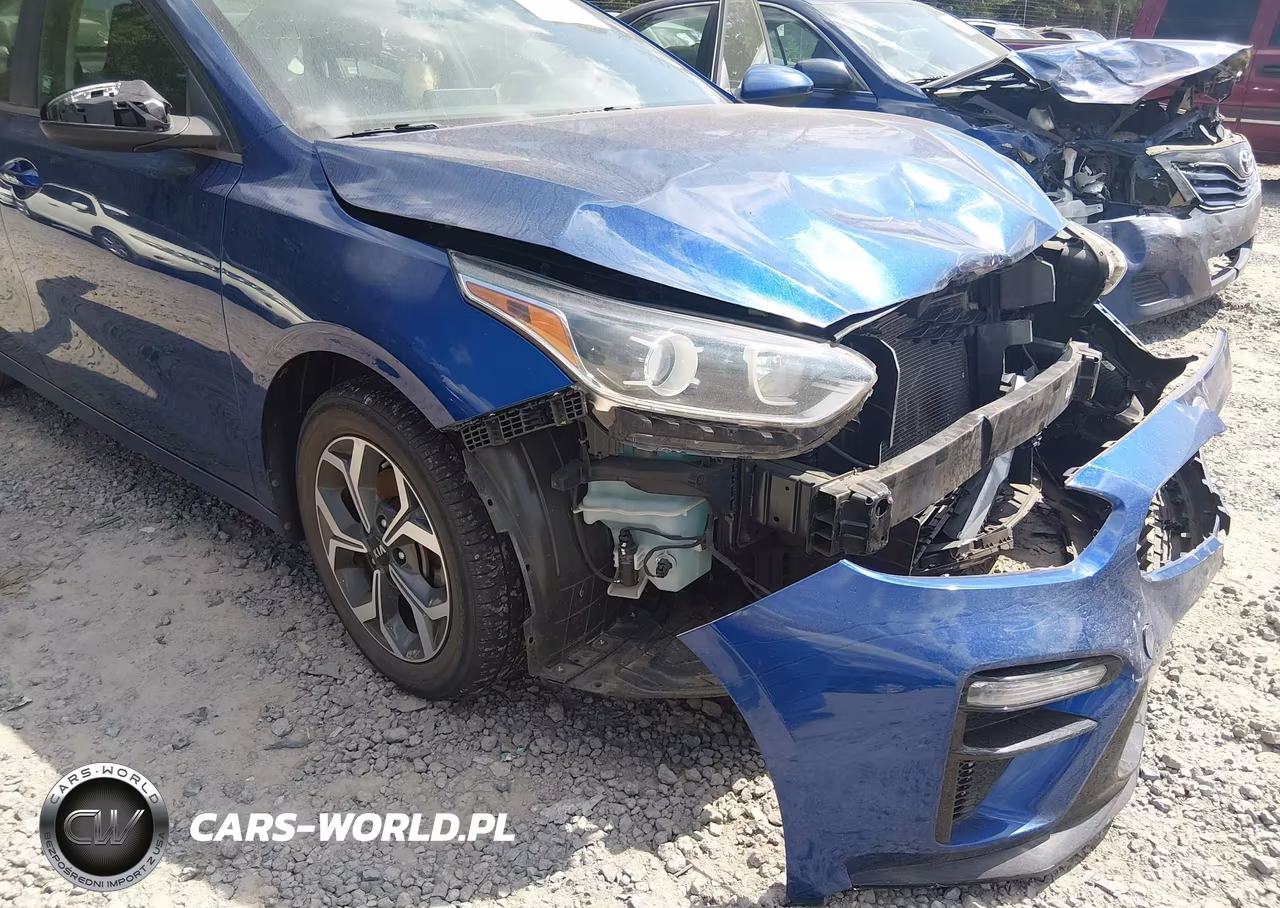 2019 Kia Forte Lxs VIN:3KPF24ADXKE008274 - 6