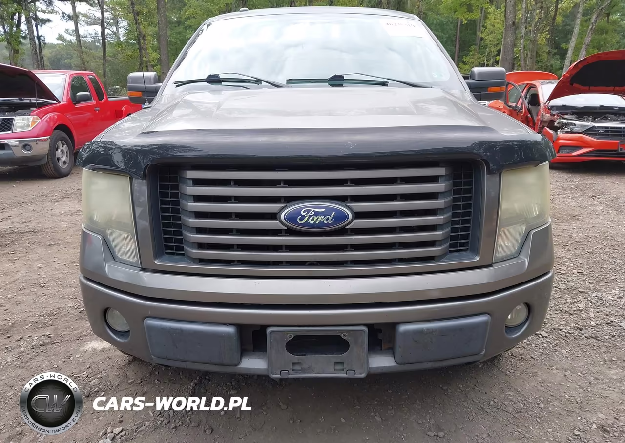 2010 Ford F-150 Fx2 Sport-Harley-Davidson-King Ranch-Lariat-Platinum-Xl-Xlt VIN:1FTFW1CV2AKE13775 - 12