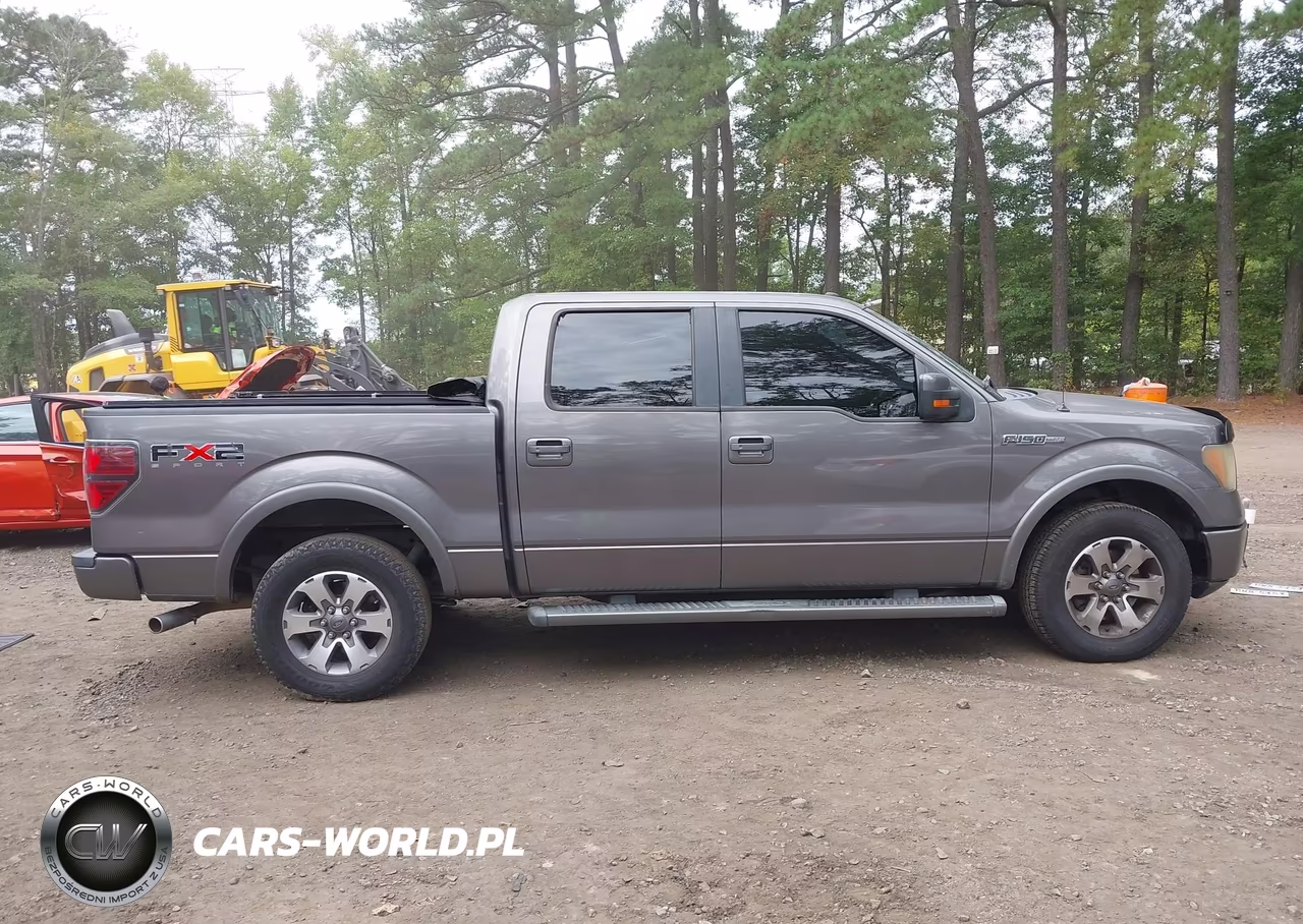 2010 Ford F-150 Fx2 Sport-Harley-Davidson-King Ranch-Lariat-Platinum-Xl-Xlt VIN:1FTFW1CV2AKE13775 - 13