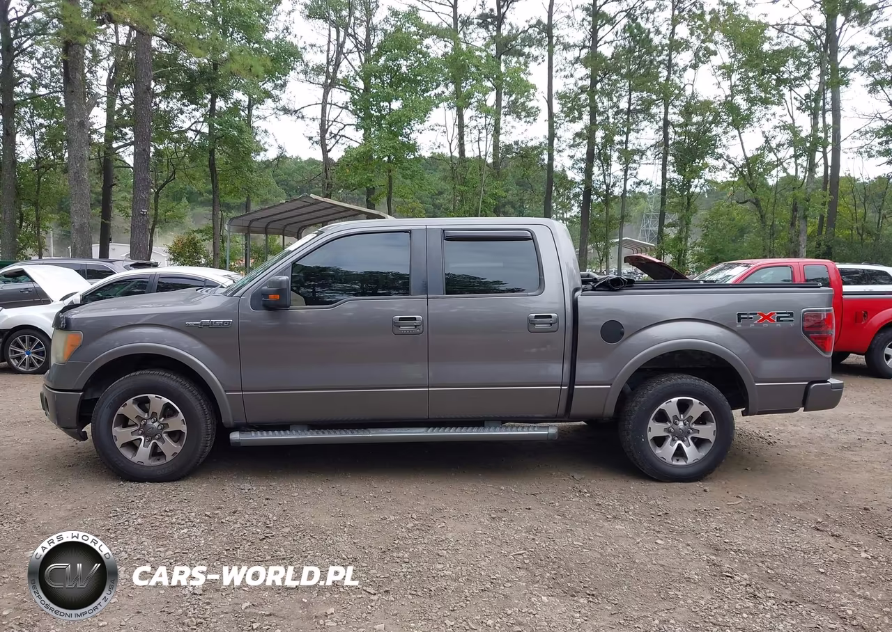 2010 Ford F-150 Fx2 Sport-Harley-Davidson-King Ranch-Lariat-Platinum-Xl-Xlt VIN:1FTFW1CV2AKE13775 - 14
