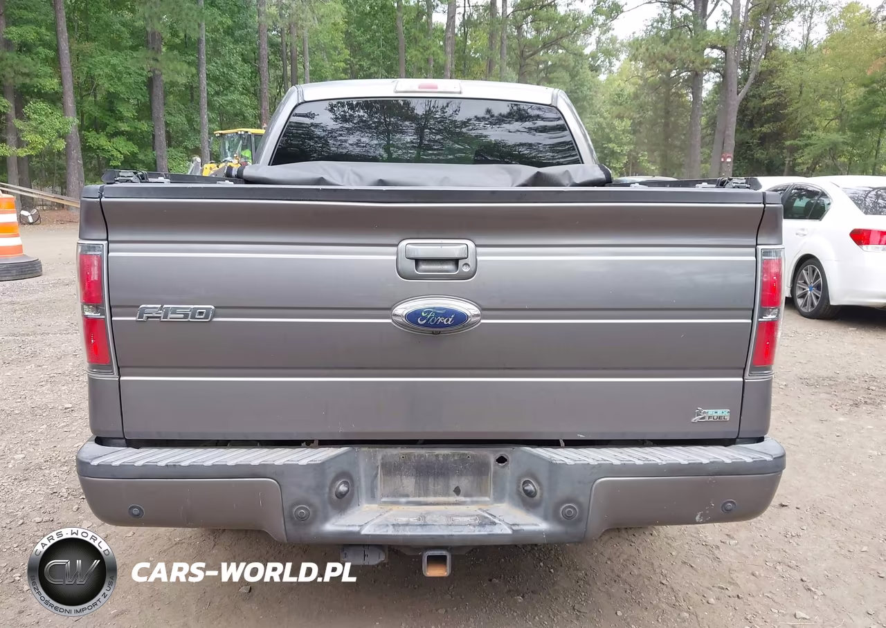 2010 Ford F-150 Fx2 Sport-Harley-Davidson-King Ranch-Lariat-Platinum-Xl-Xlt VIN:1FTFW1CV2AKE13775 - 16