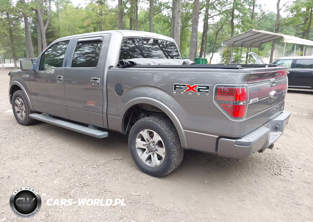 2010 Ford F-150 Fx2 Sport-Harley-Davidson-King Ranch-Lariat-Platinum-Xl-Xlt VIN:1FTFW1CV2AKE13775 - 3