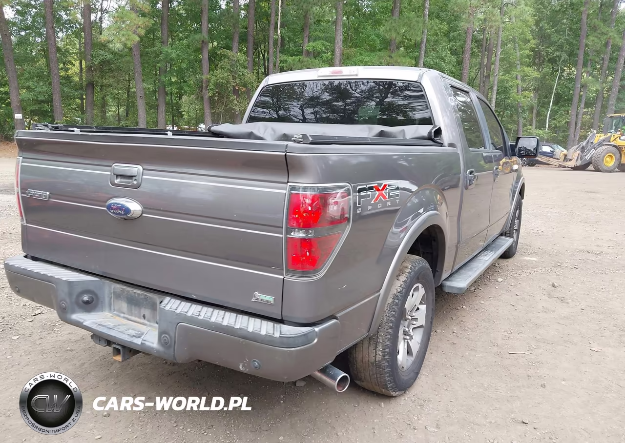 2010 Ford F-150 Fx2 Sport-Harley-Davidson-King Ranch-Lariat-Platinum-Xl-Xlt VIN:1FTFW1CV2AKE13775 - 4