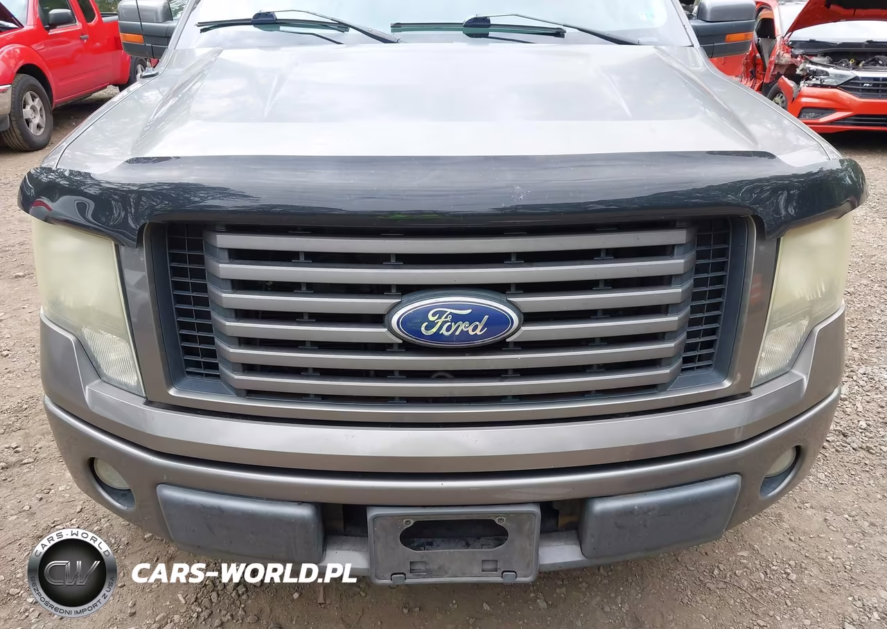 2010 Ford F-150 Fx2 Sport-Harley-Davidson-King Ranch-Lariat-Platinum-Xl-Xlt VIN:1FTFW1CV2AKE13775 - 6