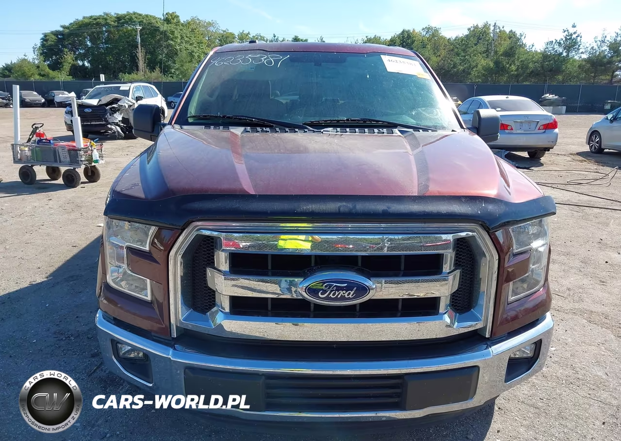 2016 Ford F-150 Xlt VIN:1FTEX1C85GFD12881 - 12