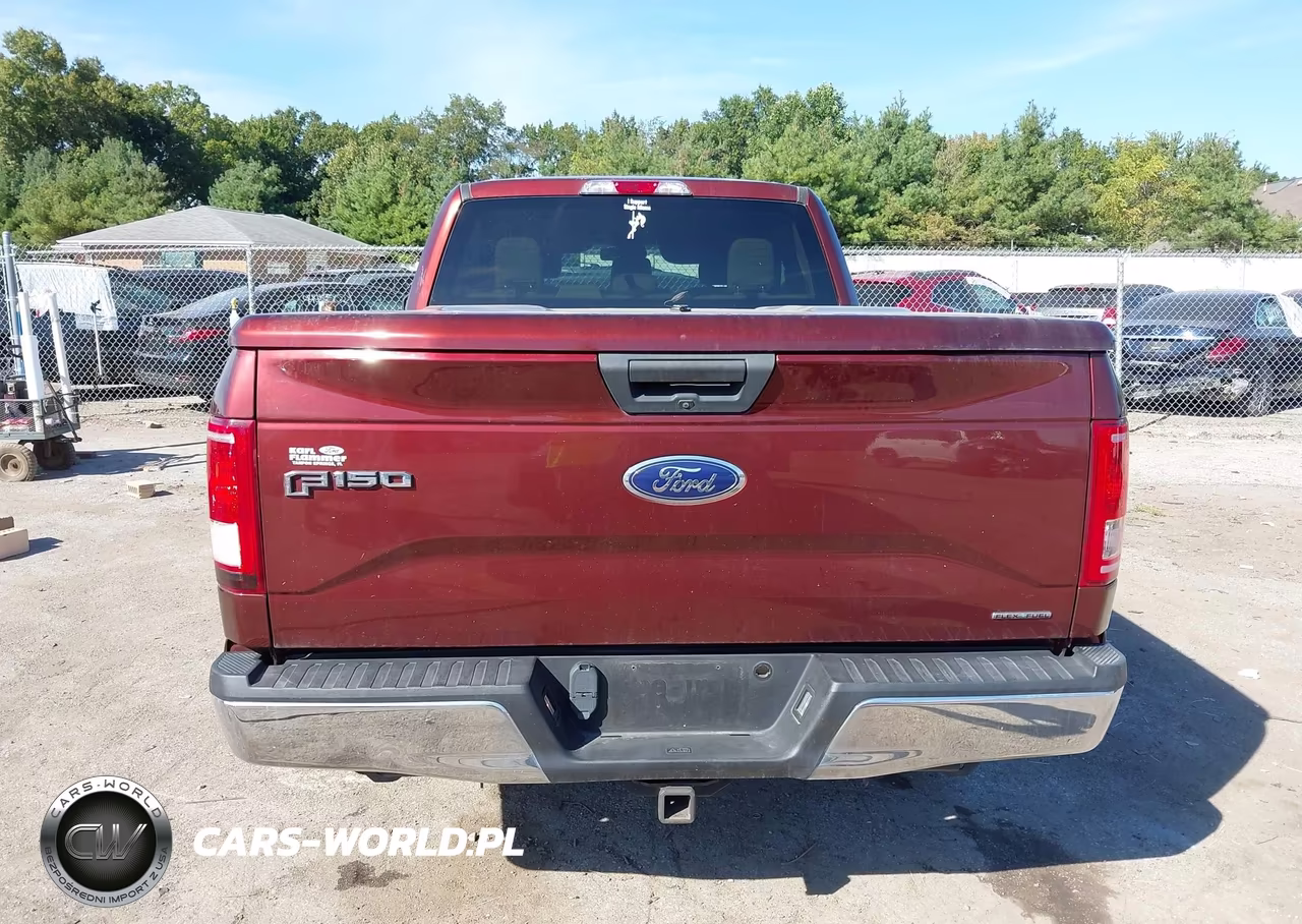 2016 Ford F-150 Xlt VIN:1FTEX1C85GFD12881 - 16