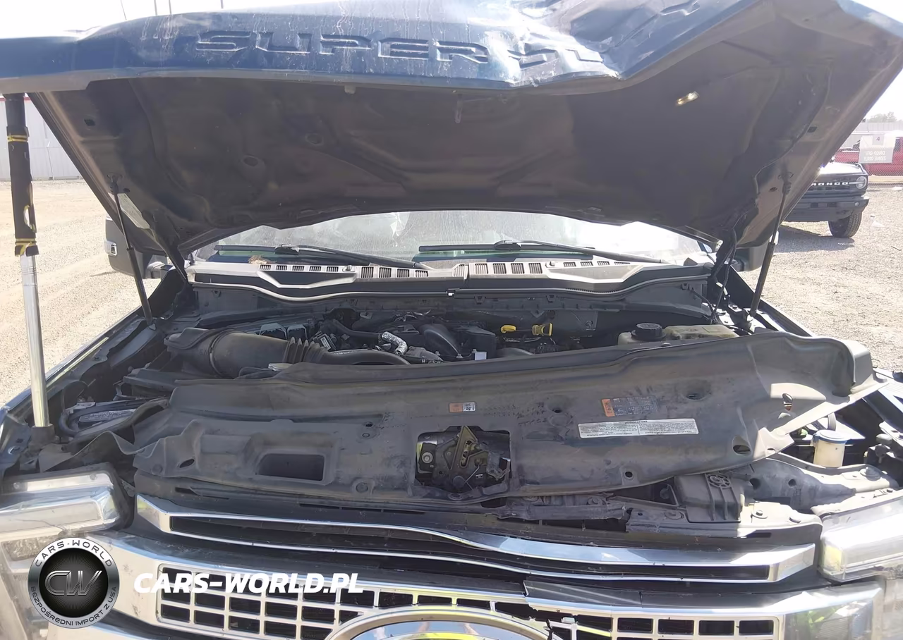 2019 Ford F-250 Platinum VIN:1FT7W2BT3KEE80377 - 10