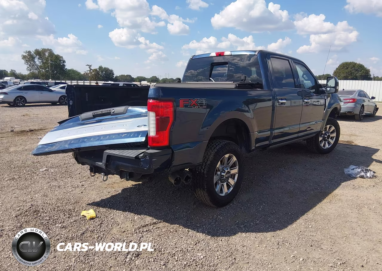 2019 Ford F-250 Platinum VIN:1FT7W2BT3KEE80377 - 4