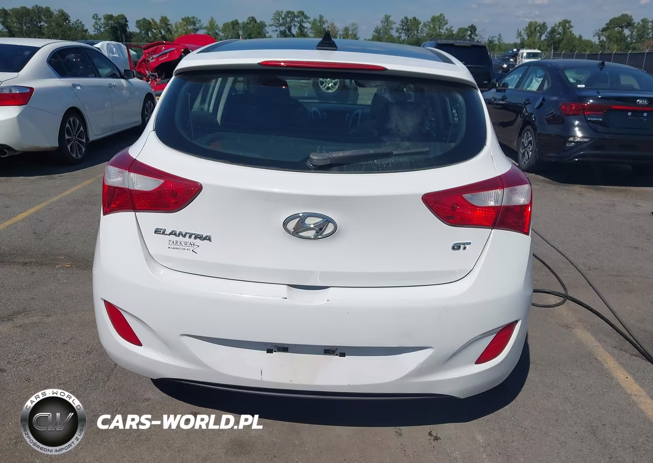 2013 Hyundai Elantra Gt VIN:KMHD35LE5DU098207 - 16