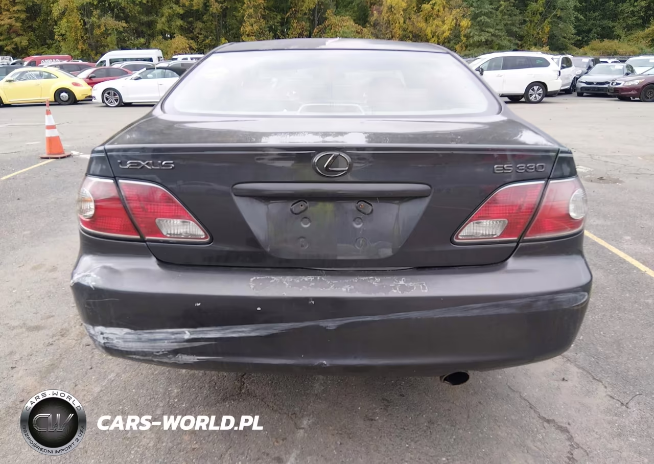 2004 Lexus Es 330 VIN:JTHBA30G645051563 - 17
