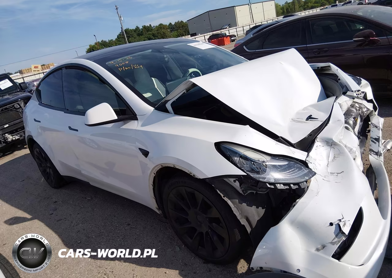 2020 Tesla Model Y Long Range Dual Motor All-Wheel Drive VIN:5YJYGDEE9LF037161 - 1