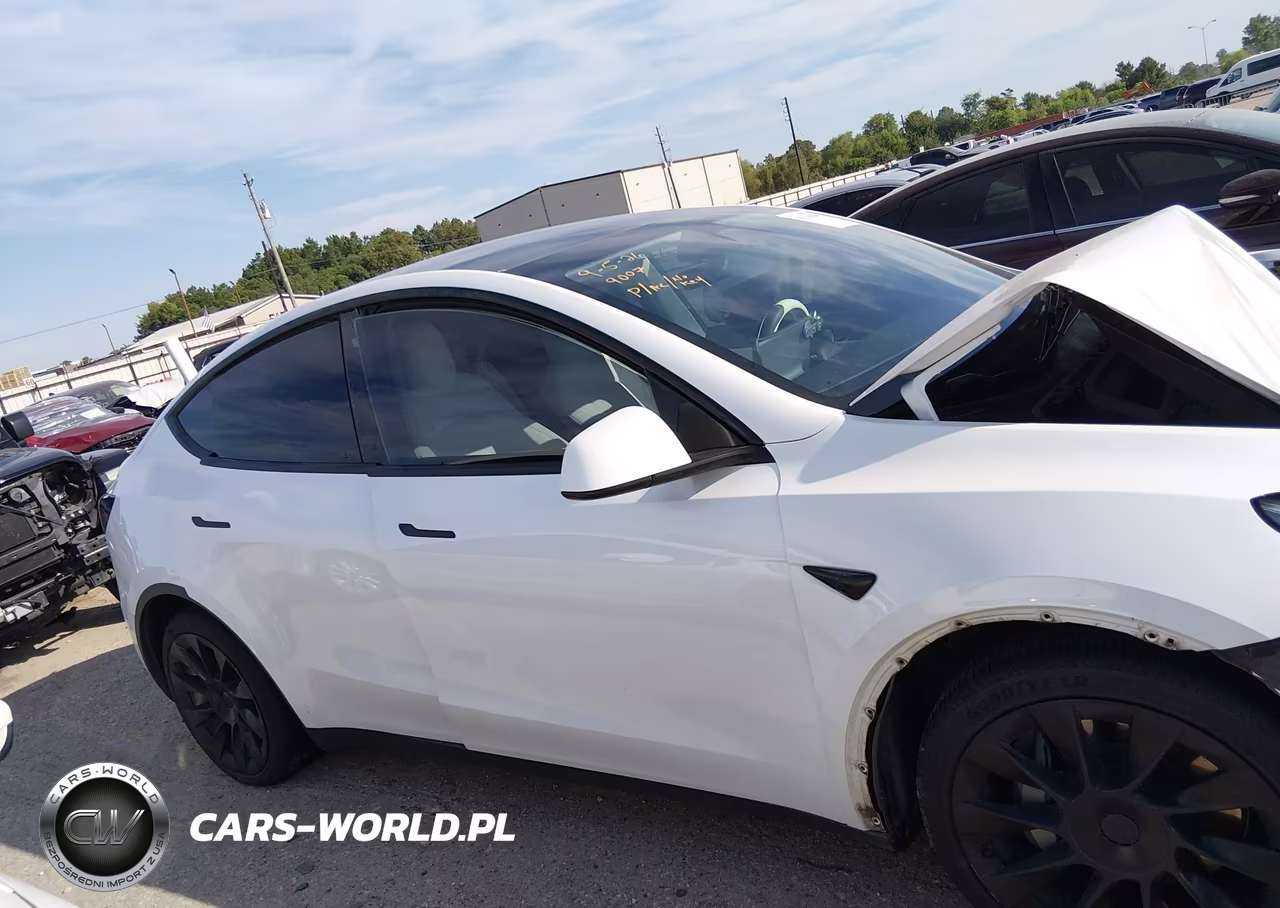 2020 Tesla Model Y Long Range Dual Motor All-Wheel Drive VIN:5YJYGDEE9LF037161 - 12