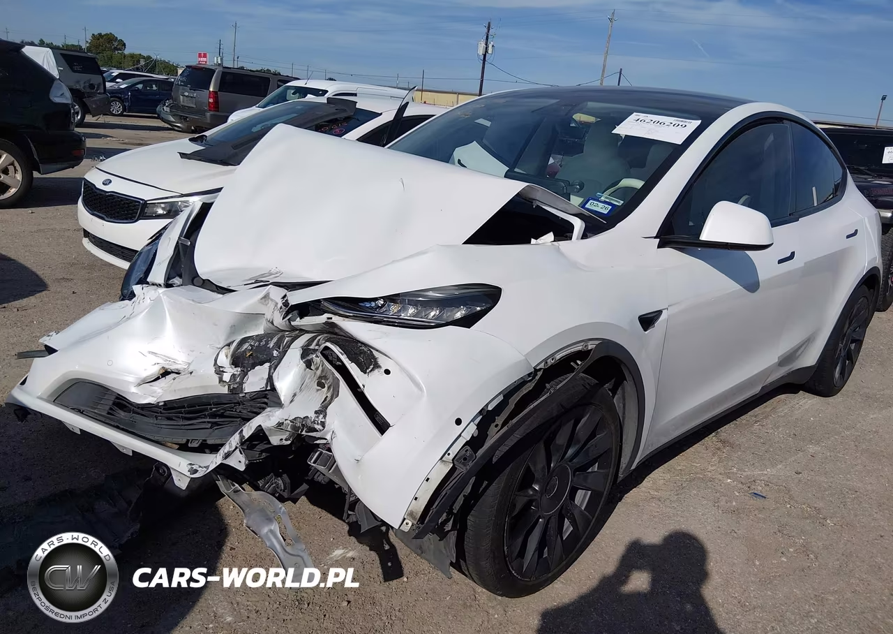 2020 Tesla Model Y Long Range Dual Motor All-Wheel Drive VIN:5YJYGDEE9LF037161 - 2