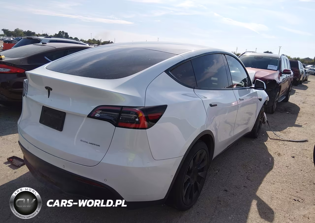 2020 Tesla Model Y Long Range Dual Motor All-Wheel Drive VIN:5YJYGDEE9LF037161 - 4