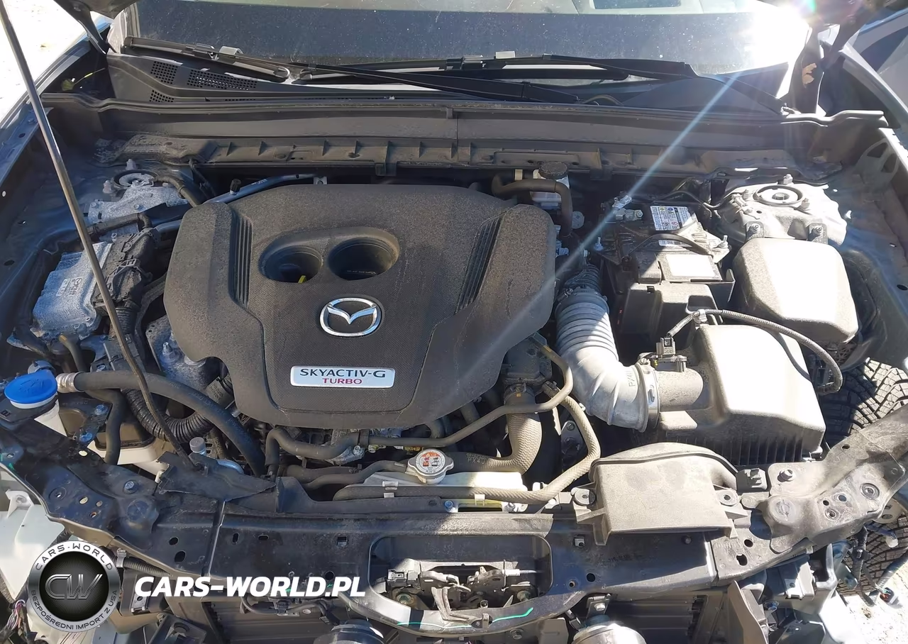 2021 Mazda Cx-30 2.5 Turbo Premium VIN:3MVDMBDY4MM308632 - 10