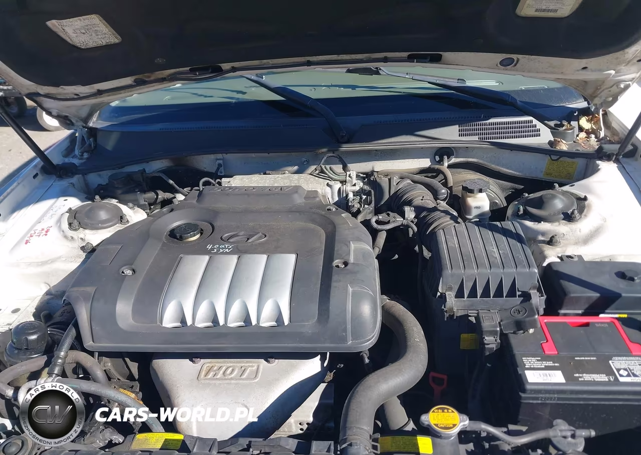 2003 Hyundai Sonata VIN:KMHWF25S13A854116 - 10