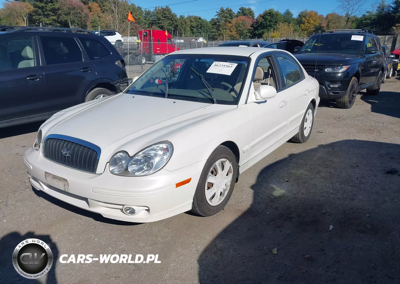 2003 Hyundai Sonata VIN:KMHWF25S13A854116 - 2