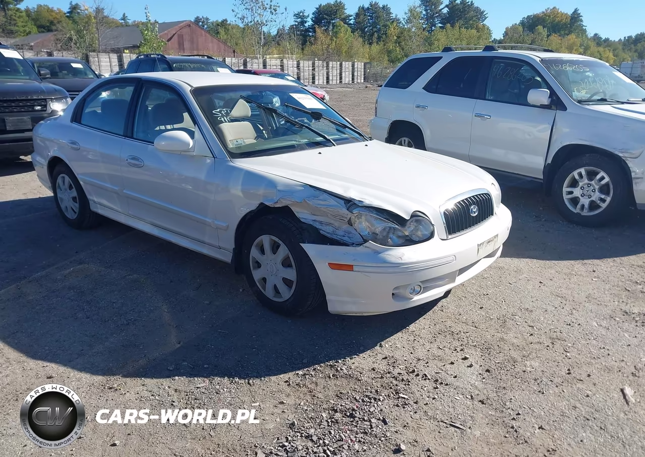 2003 Hyundai Sonata VIN:KMHWF25S13A854116 - 6