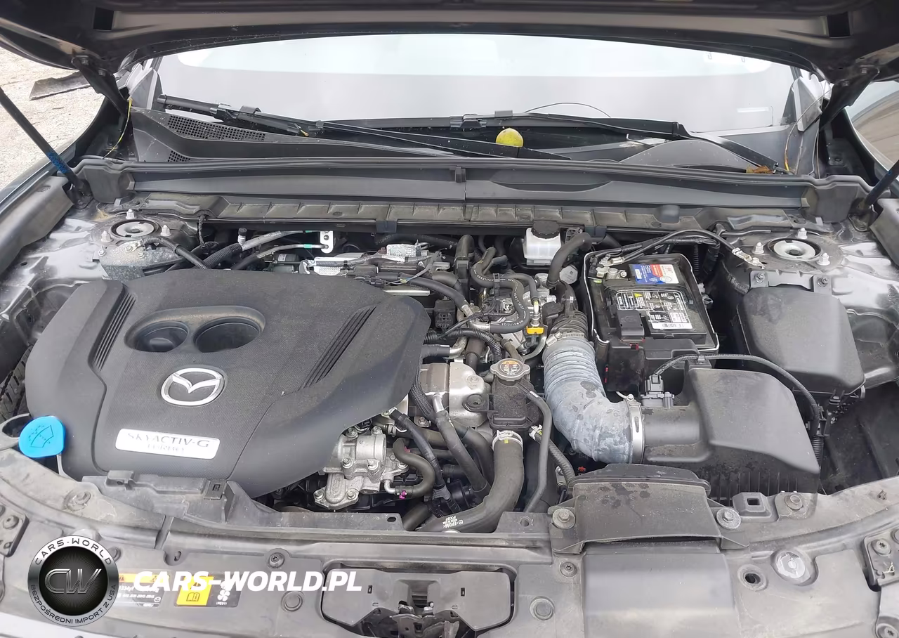 2023 Mazda Cx-50 2.5 Turbo Premium Plus VIN:7MMVABEYXPN121127 - 10