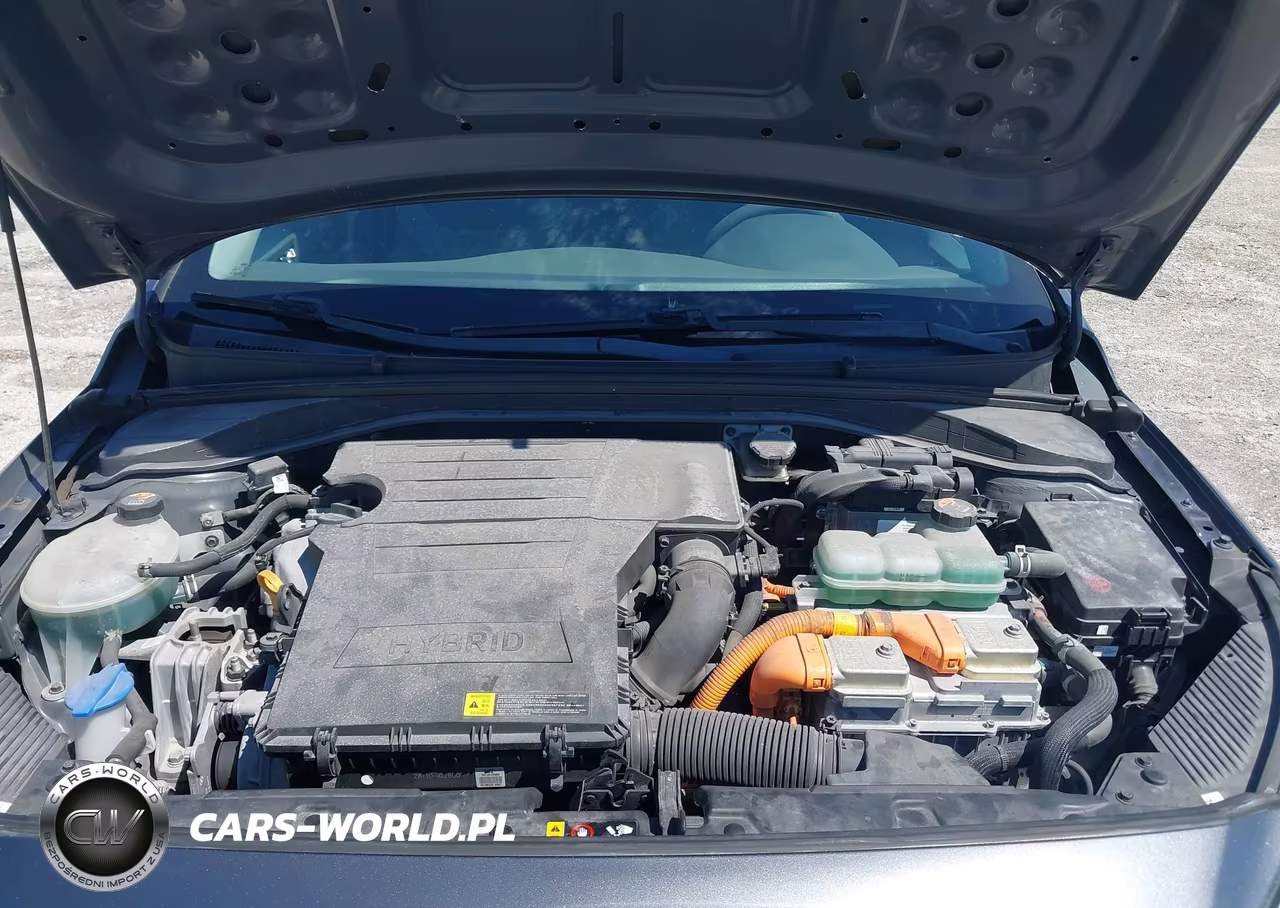 2018 Hyundai Ioniq Hybrid Blue VIN:KMHC65LC6JU100513 - 10