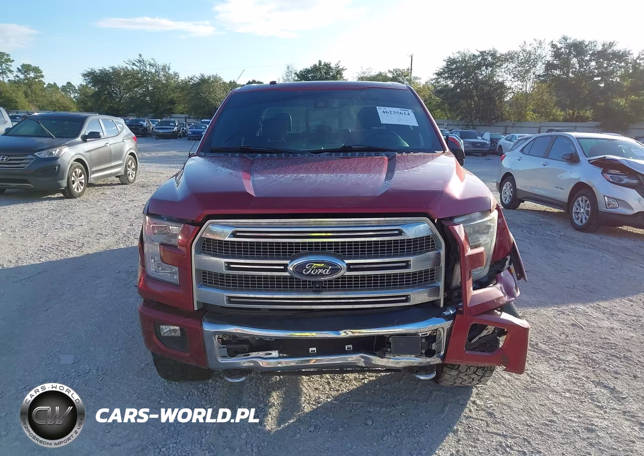 2017 Ford F-150 Platinum VIN:1FTEW1EF4HFB39306 - 12