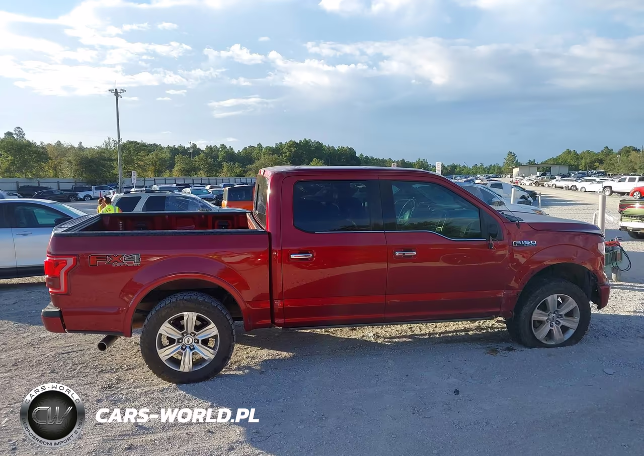 2017 Ford F-150 Platinum VIN:1FTEW1EF4HFB39306 - 13