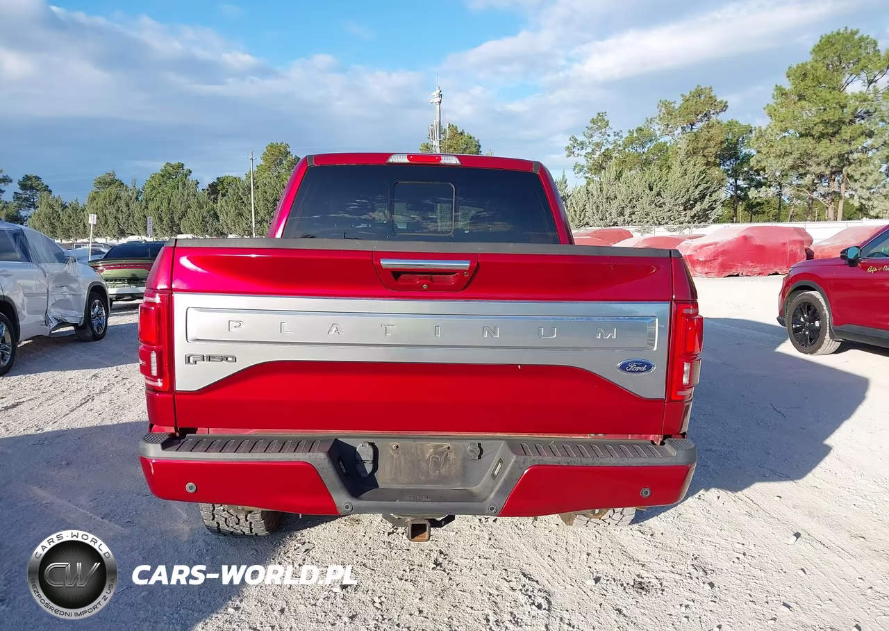 2017 Ford F-150 Platinum VIN:1FTEW1EF4HFB39306 - 16