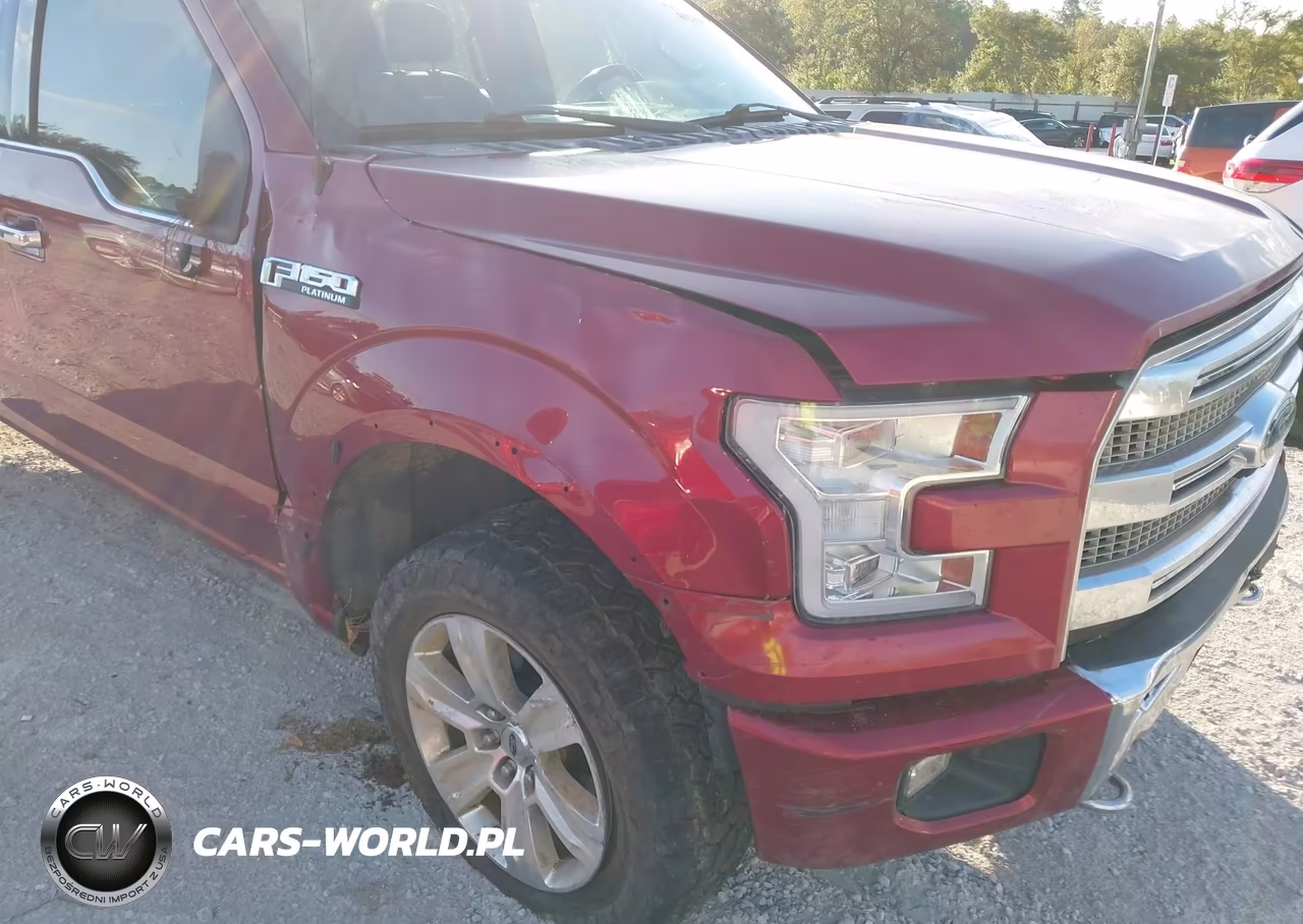 2017 Ford F-150 Platinum VIN:1FTEW1EF4HFB39306 - 19
