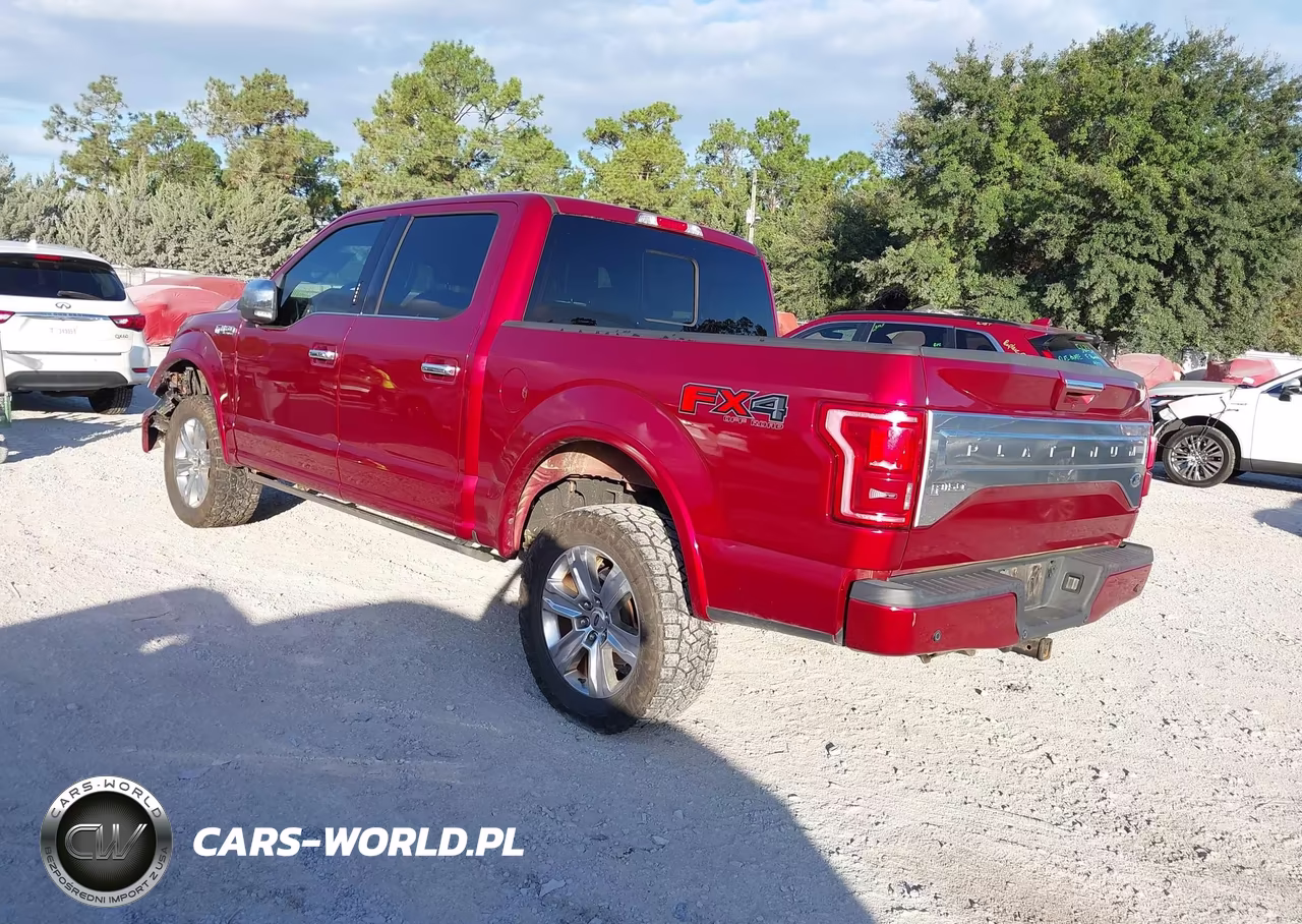 2017 Ford F-150 Platinum VIN:1FTEW1EF4HFB39306 - 3