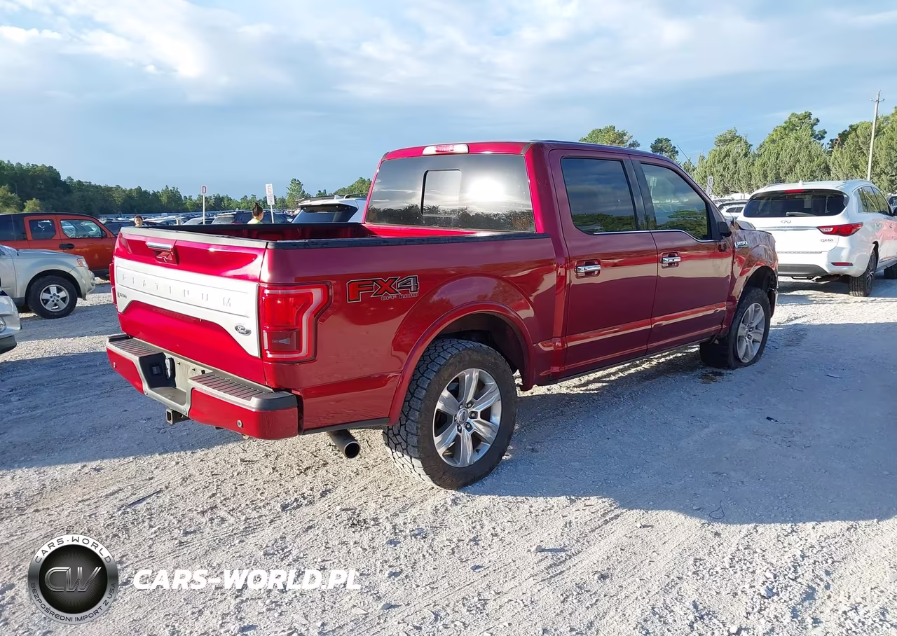 2017 Ford F-150 Platinum VIN:1FTEW1EF4HFB39306 - 4