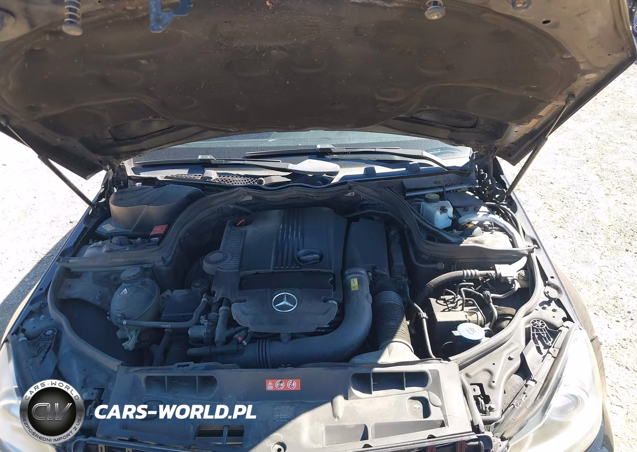 2014 Mercedes-Benz C 250 VIN:WDDGJ4HB0EG221627 - 10