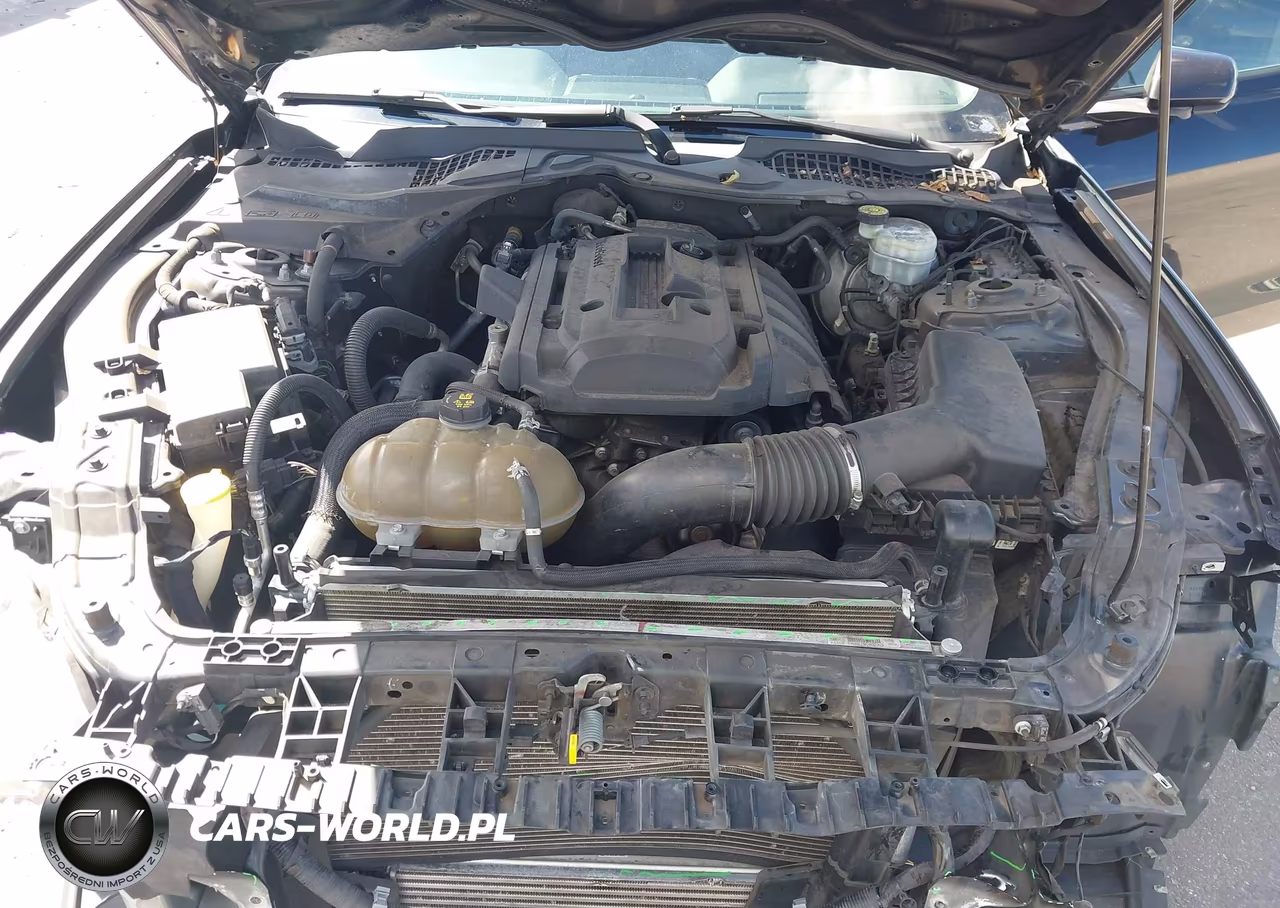 2019 Ford Mustang Ecoboost VIN:1FA6P8TH8K5173976 - 10