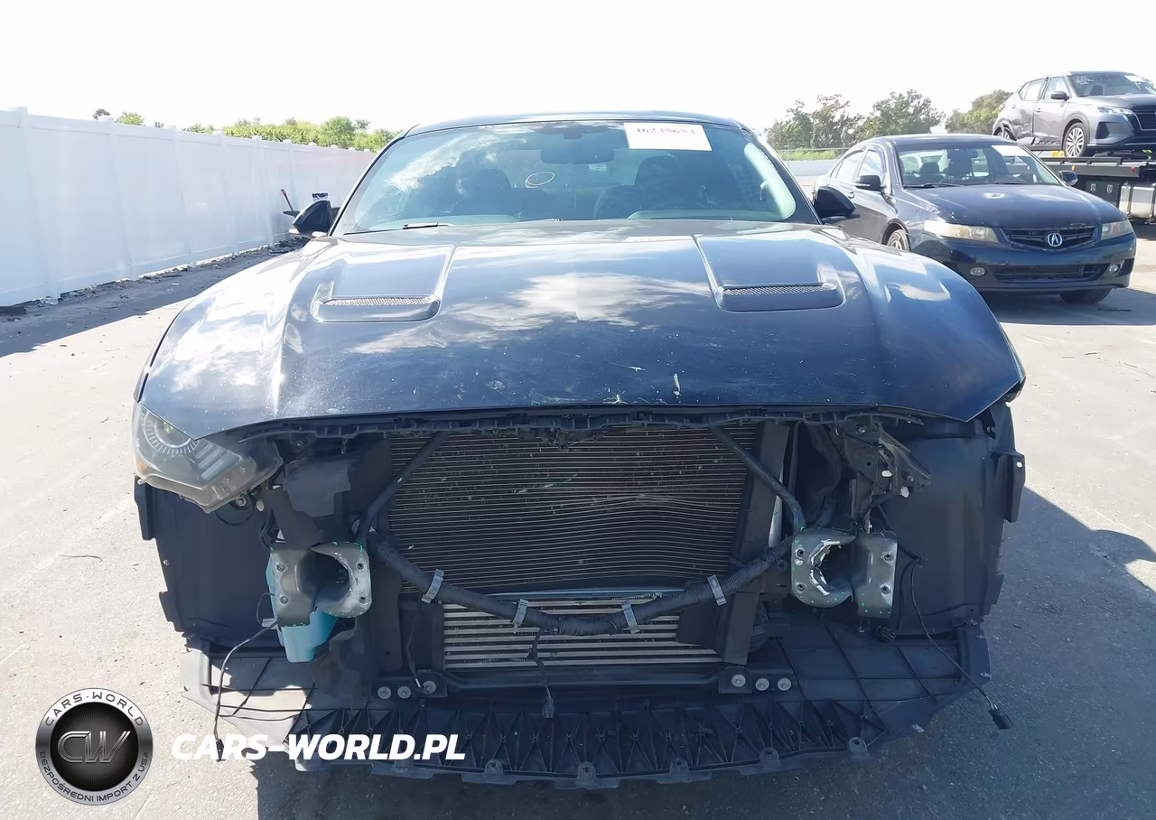 2019 Ford Mustang Ecoboost VIN:1FA6P8TH8K5173976 - 12